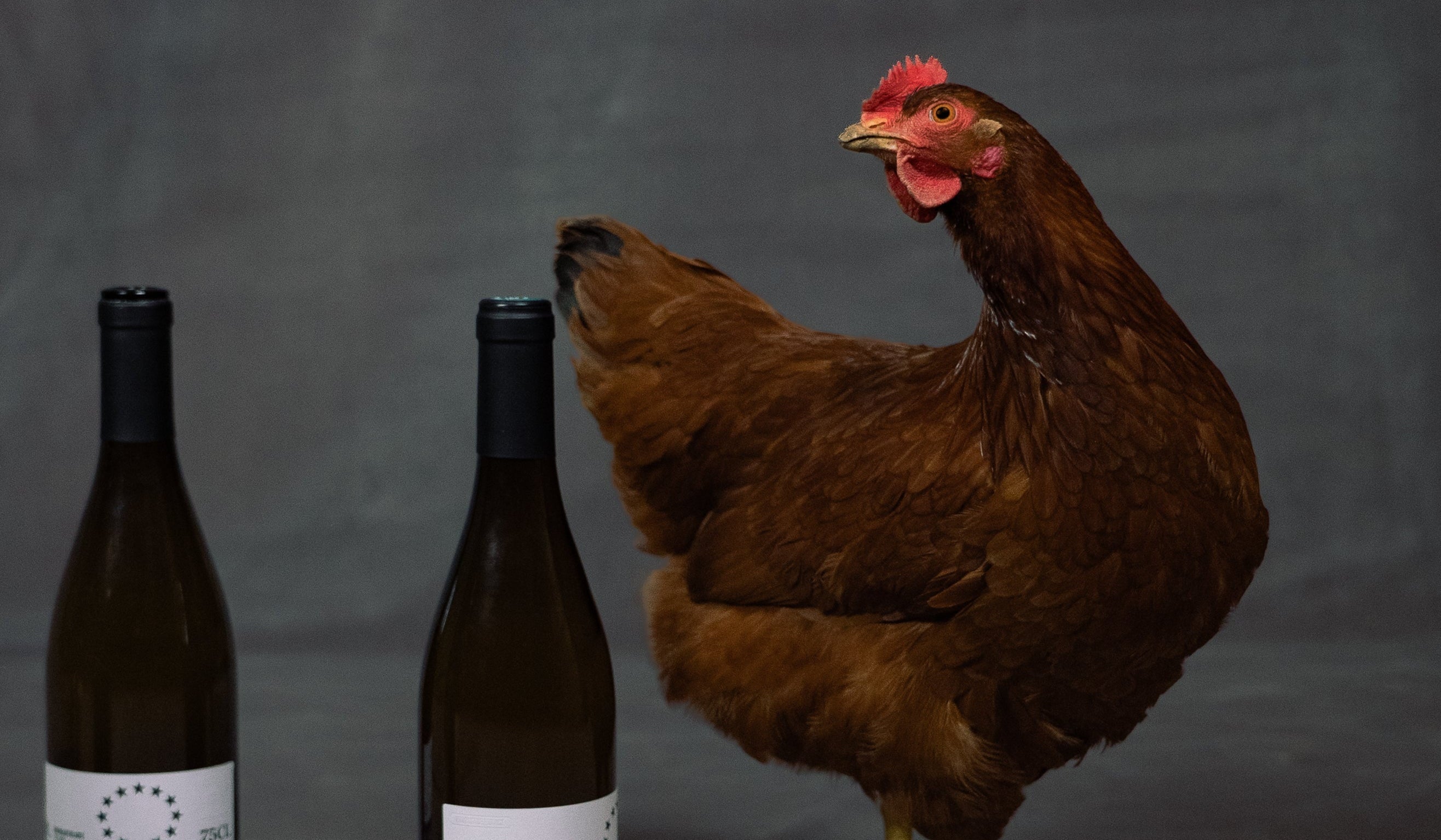 Comment faire du vin sans vigne ?
